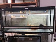 【引取り限定】爬虫類飼育ケージ ビバリア レプロ1260　他4点含む 2026年最新】レプロ ケージの人気アイテム - メルカリ