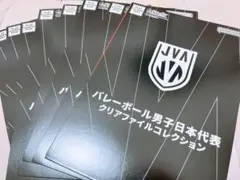 JVA バレーボール男子日本代表クリアファイルコレクション