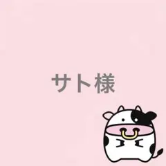 サト様 リクエスト 3点 まとめ商品