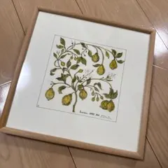 botanical ヤドリギ｜coricciコリッチ（IDEE イデー） - メルカリ