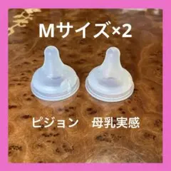 ピジョン⭐︎母乳実感ニプルM