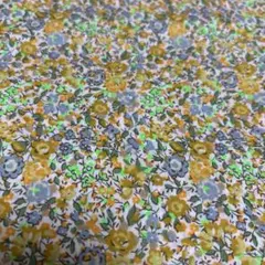 リバティタナローン オークション商品