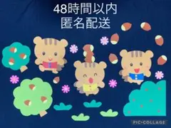 (クラフト250) カード アルバム 手紙 メモ どんぐり 秋 動物 壁面 クラフト339) カード アルバム 手紙 メモ どんぐり 秋 動物 壁面