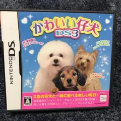かわいい仔犬DS3