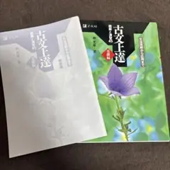 古文上達 読解と演習45 仲光雄著