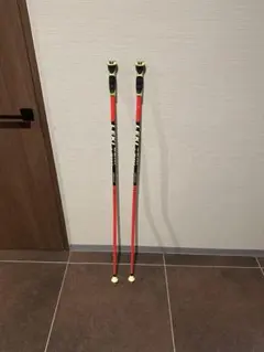 2025年最新】LEKI スキー ストックの人気アイテム - メルカリ