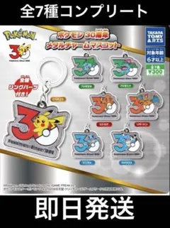ポケモン　30周年　メタルチャームマスコット　全7種コンプリート