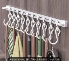 フックシステム 30cm Sフック10個付き