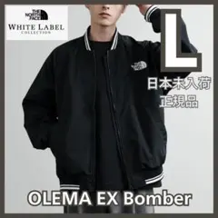 新品 人気　ノースフェイス オレマ EX ボンバー ジャケット 韓国 L