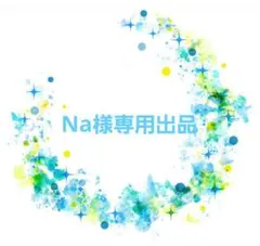 専用出品
