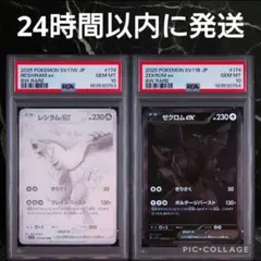 2026年最新】レシラム ゼクロム 連番の人気アイテム - メルカリ