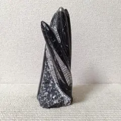 オブシディアン 尖頭器 d 槍 石器 黒曜石 模写 - メルカリ