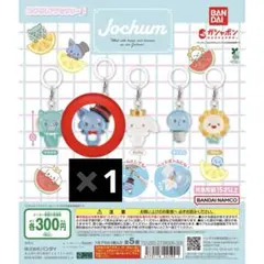 jochum めじるしアクセサリー レイン