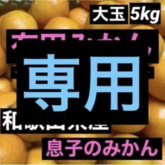 専用出品。箱込み約5kg 大玉 訳あり