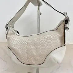 Coach Hobo mini Signature Shoulder bag