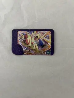 ポケモンフレンダ ザマゼンタ 星5カード