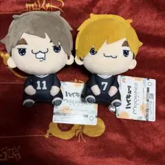 ハイキュー もちぴこぬいぐるみ ④