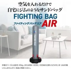 FIELD FORCE フィールドフォース バッティング用サンドバッグ貴重美品