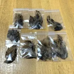 Item thumbnail for item 705c874c-5216-48dc-a176-fe65bac12f7c