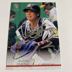 Item thumbnail for item d60c1df8-8de6-4e36-b521-d8a845e5b508