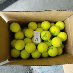 Item thumbnail for item 08579a56-835a-4753-b70d-695f29a3b277