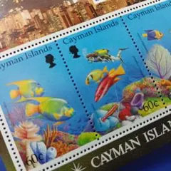 9300 外国切手 ケイマン諸島 1994年 サンゴ礁の魚 小型シート