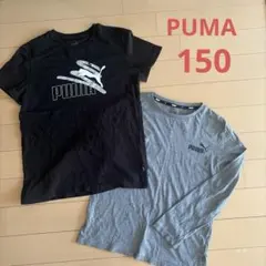 PUMA Tシャツセット　半袖　他　まとめ売り150