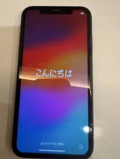 Apple iPhone 11 本体