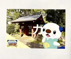 ミジュマル　謎解き　ミジュマル探検隊　クリアファイル　ポストカード ミジュマル 探検隊 クリアファイル ポストカード 三重県 ポケモン