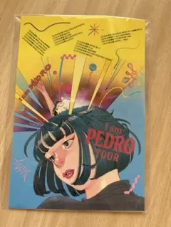 PEDRO ポスター　まとめ売り　21枚！！！ 2026年最新】pedro ポスターの人気アイテム - メルカリ