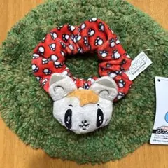 ジェ猫 シュシュ [白濱亜嵐] GENERATIONS