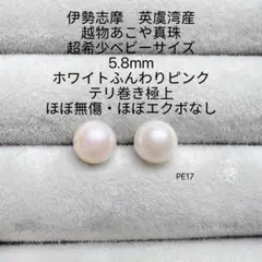 伊勢志摩 英虞湾産 越物あこや真珠 超希少シャンパン 5.5mm PE14