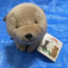 Item thumbnail for item 50e2db30-44a6-48f3-9692-67719c0f954f