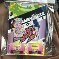 仮面ライダー ガヴ ツイン アクリルスタンド アクスタ ゴチゾウ 甘根幸果　新品
