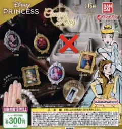 ディズニープリンセス キャンバスリング セミコンプリート ひまわり様専用