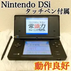 動作良好✨Nintendo DSi ブラック 任天堂 純正タッチペン付き✨