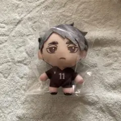 ハイキュー‼︎ セガラッキーくじ B賞 ぬいぐるみマスコット 宮治