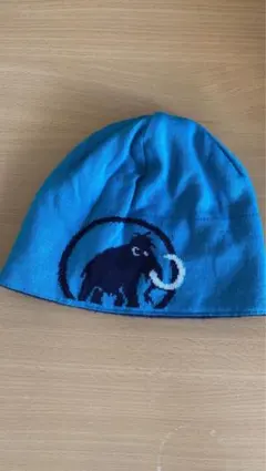 Item thumbnail for item 90c91def-82e8-414c-a530-28c6b7554301