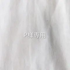 ノラネコぐんだん（うみのたび　そらをとぶ　　　アイスのくに　）等…