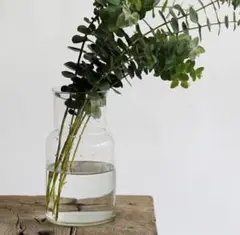 Item thumbnail for item 4f483670-ce43-4f63-aa96-1672aacb434f