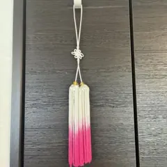 Item thumbnail for item 22340321-421b-4c67-9282-df83cd903261