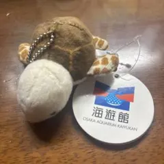 Item thumbnail for item 51c5bdd4-8e56-47c4-93d0-690b1384a01f