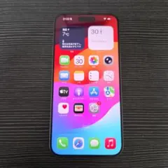 美品　中国版　iPhone15 Pro Max 1TB ナチュラルチタニウム