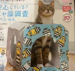 2026年最新】ねこのきもち 付録の人気アイテム - メルカリ