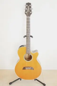 2026年最新】Takamine PT-105の人気アイテム - メルカリ