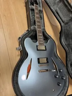 Epiphone DG-335 /Dave Grohl Foo Fightersのサムネイル