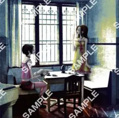 矢沢あい ペーパーキャンバス NANA C