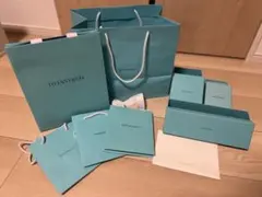 ティファニー 銀座本店限定チャーム付き ショッパー 紙袋+巾着袋の2