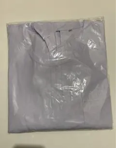 Item thumbnail for item 18b07a4d-68dc-429b-bdc6-0c83f59c05c4