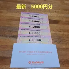 最新 ビックカメラ 株主優待券 5000円分